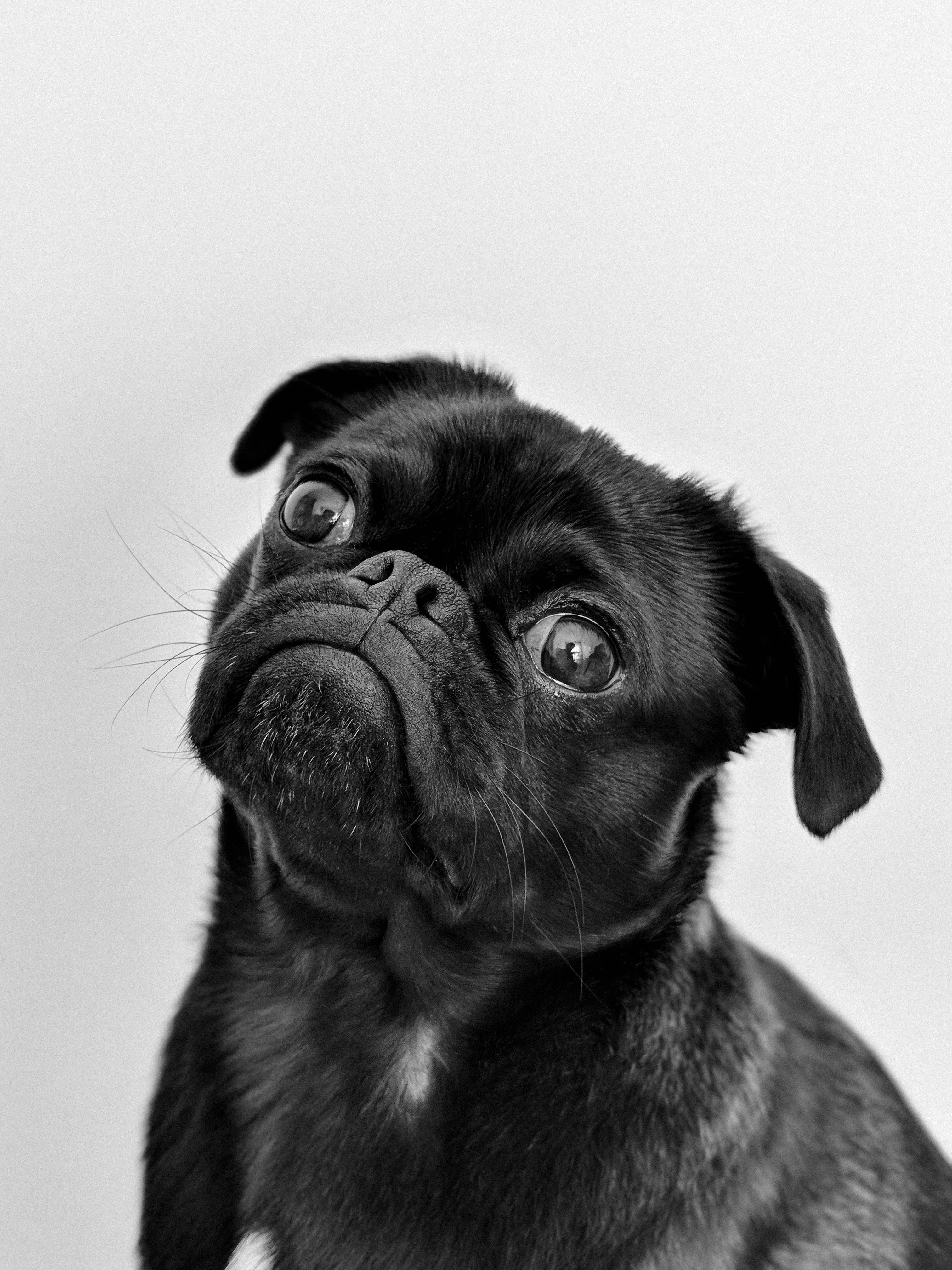 files/pexels-charlesdeluvio-1851164.jpg